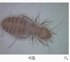 游戏专题 第38页