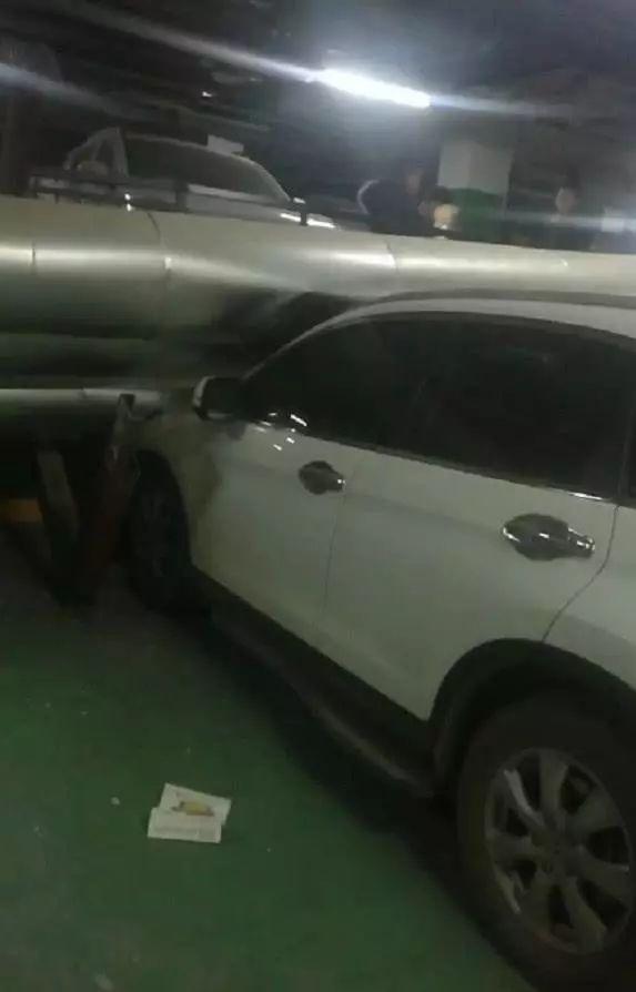娱乐生活 第5页